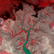 Illustration for article titled Red Leaves and Green Seas
